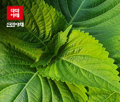 깻잎